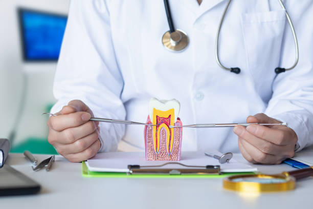 Best Emergency Denture Repair in Gorman, NC